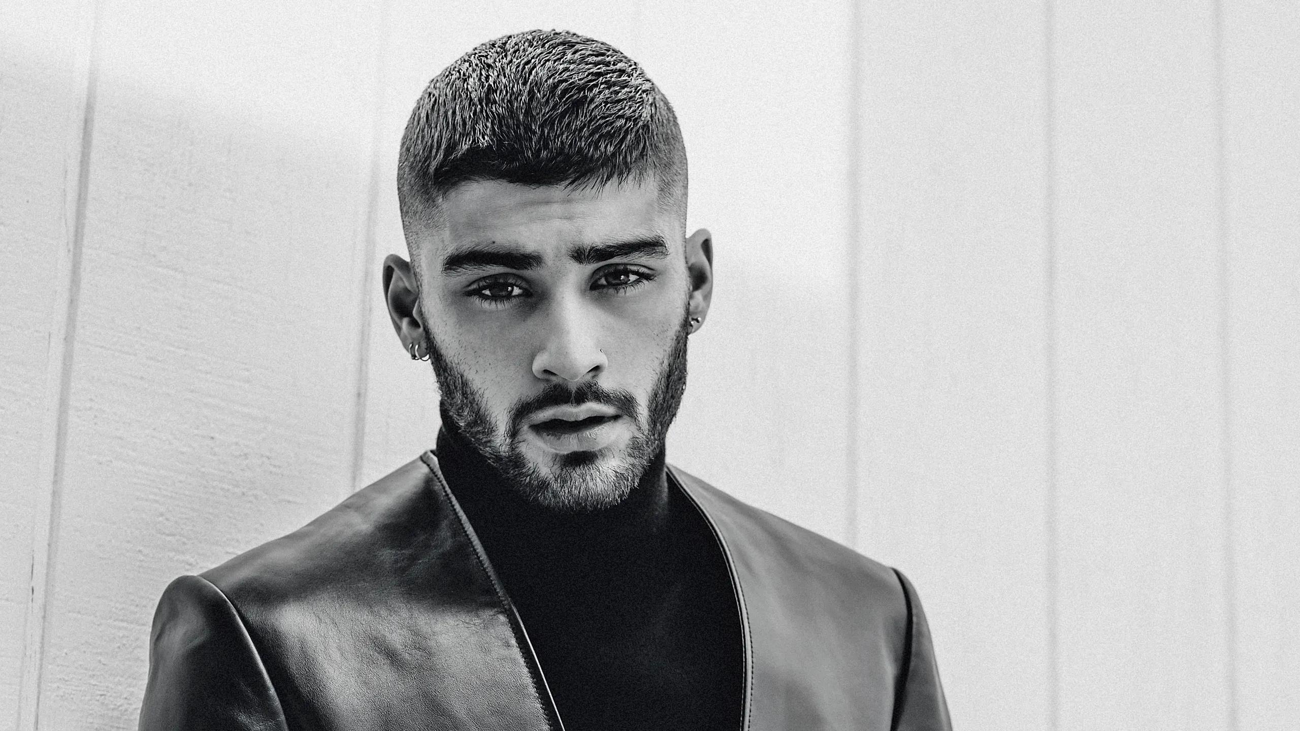 Zayn - Singer