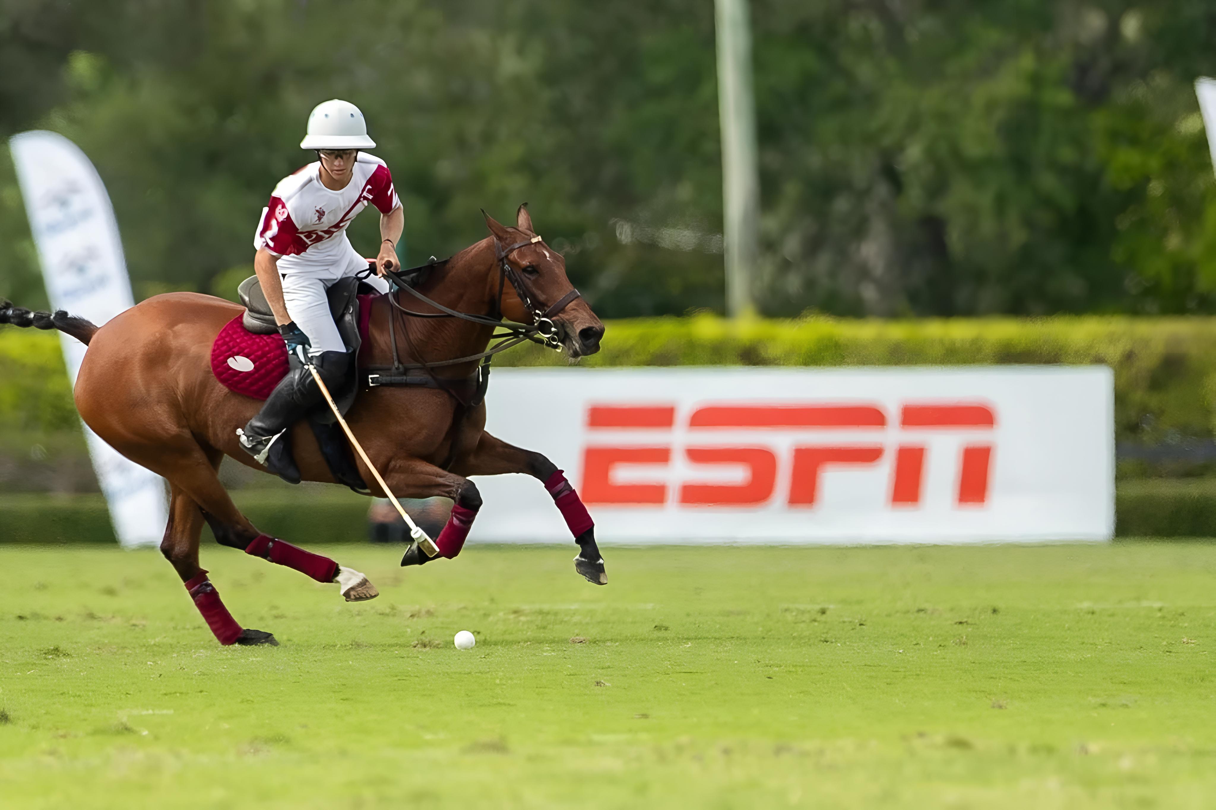 Polo hospitality experiences