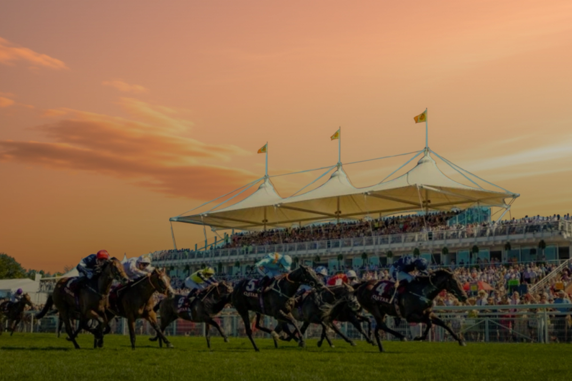 Getting to Goodwood Racecourse and Home Again