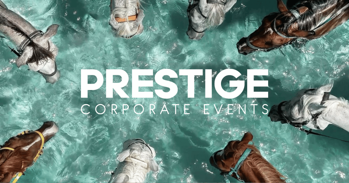 Equestrian hospitality experiences