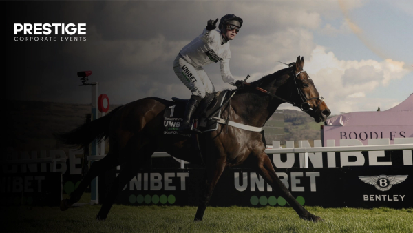 Cheltenham Festival 2026: VIP Tickets, Hospitality & Guide