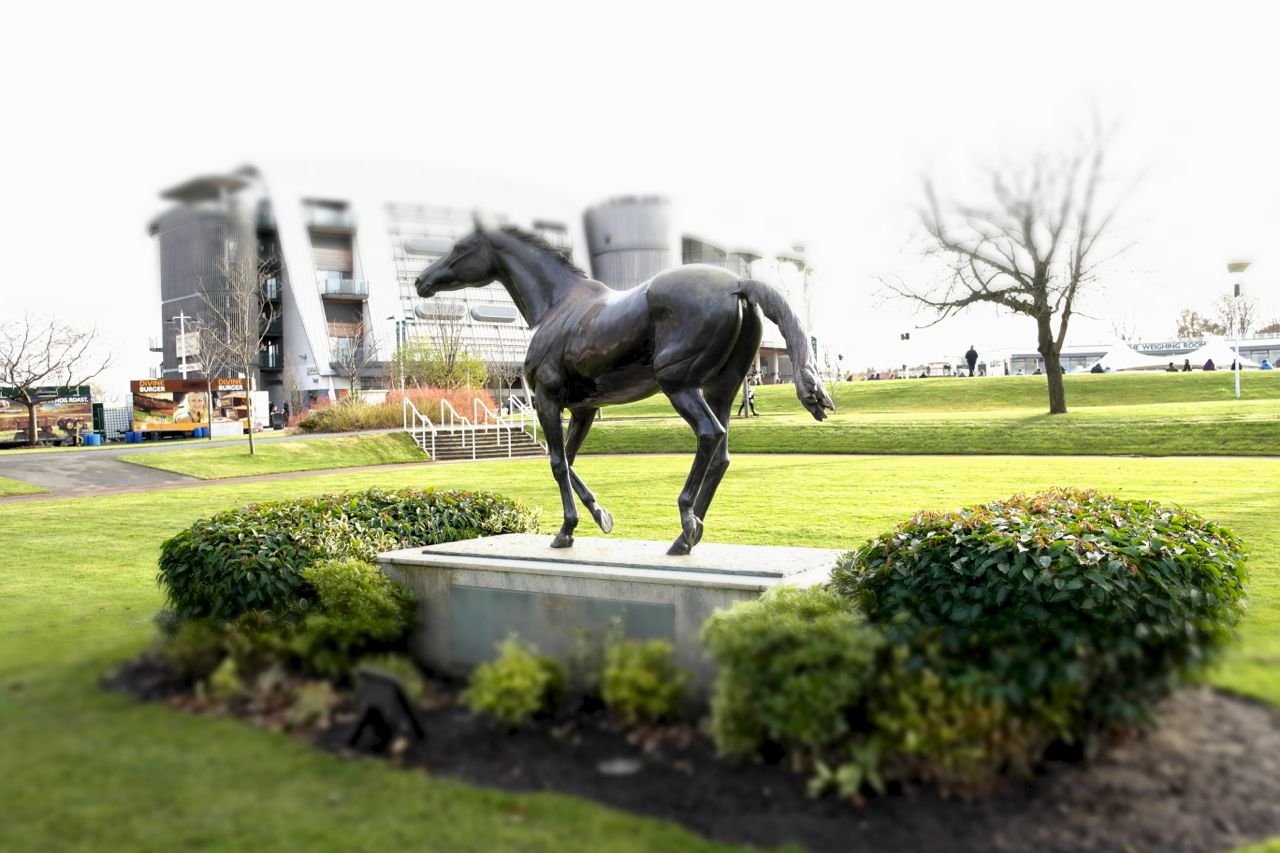 Red Rum - Celebrity
