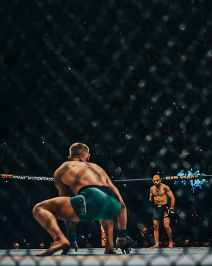MMA category