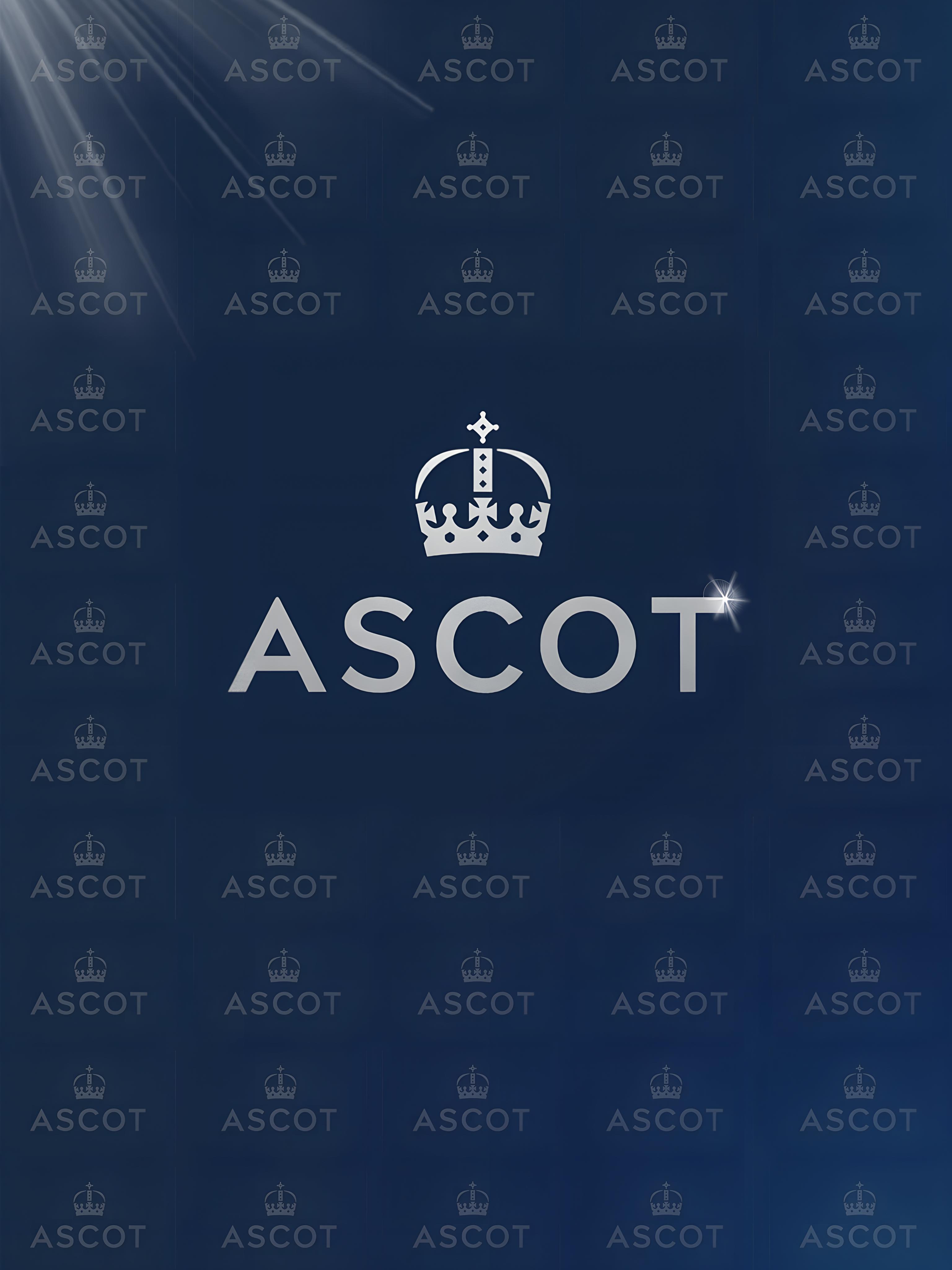 Ascot Autumn Racing Weekend category