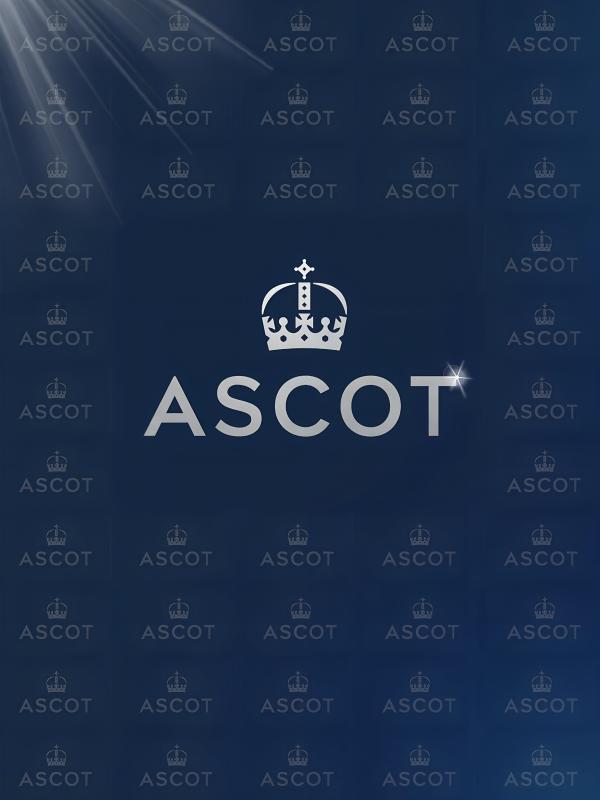 Ascot Autumn Racing Weekend
