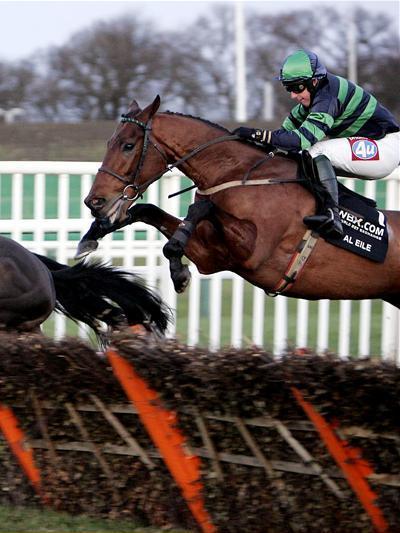 Irish Derby Festival category