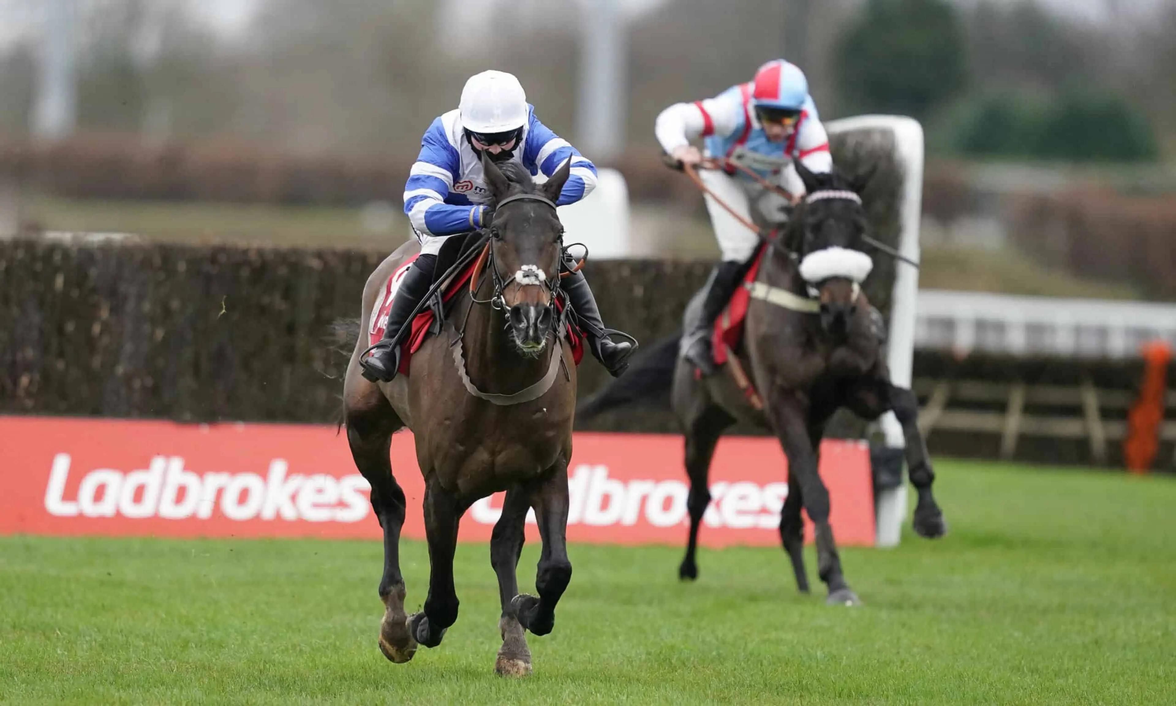 Kempton Park Winter Festival hospitality experiences