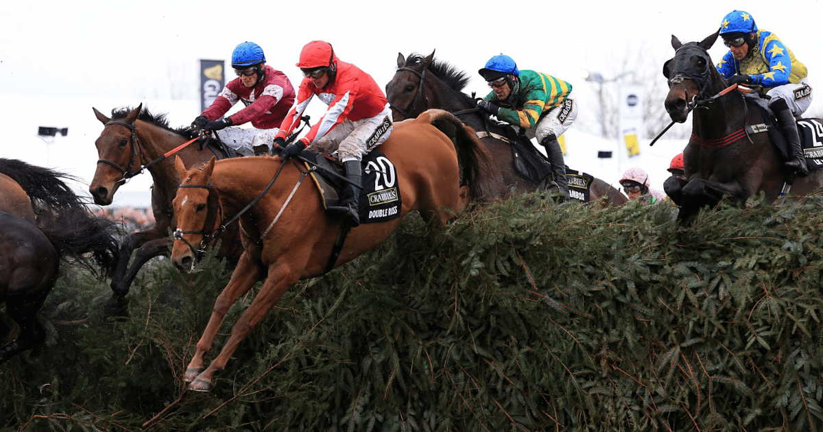 The Grand National Express 2026 - Aintree Racecourse hospitality