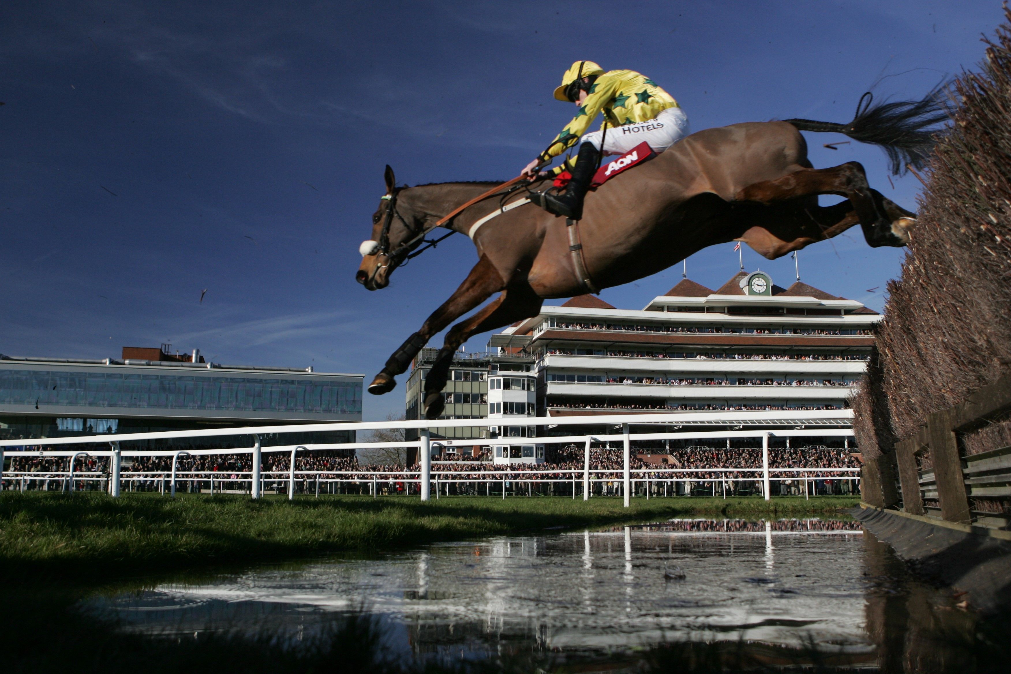 Newbury Winter Carnival hospitality experiences