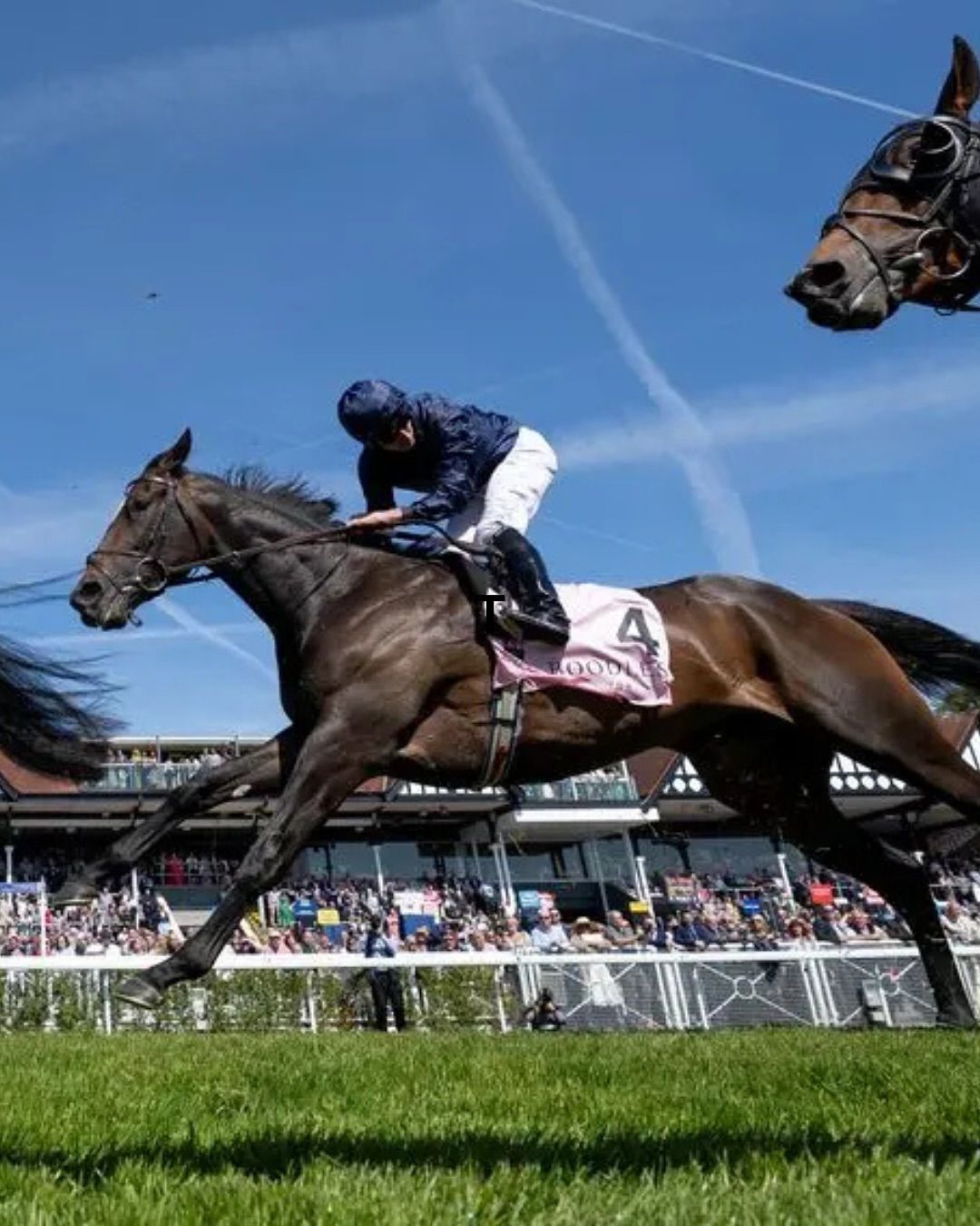 Epsom Derby Festival