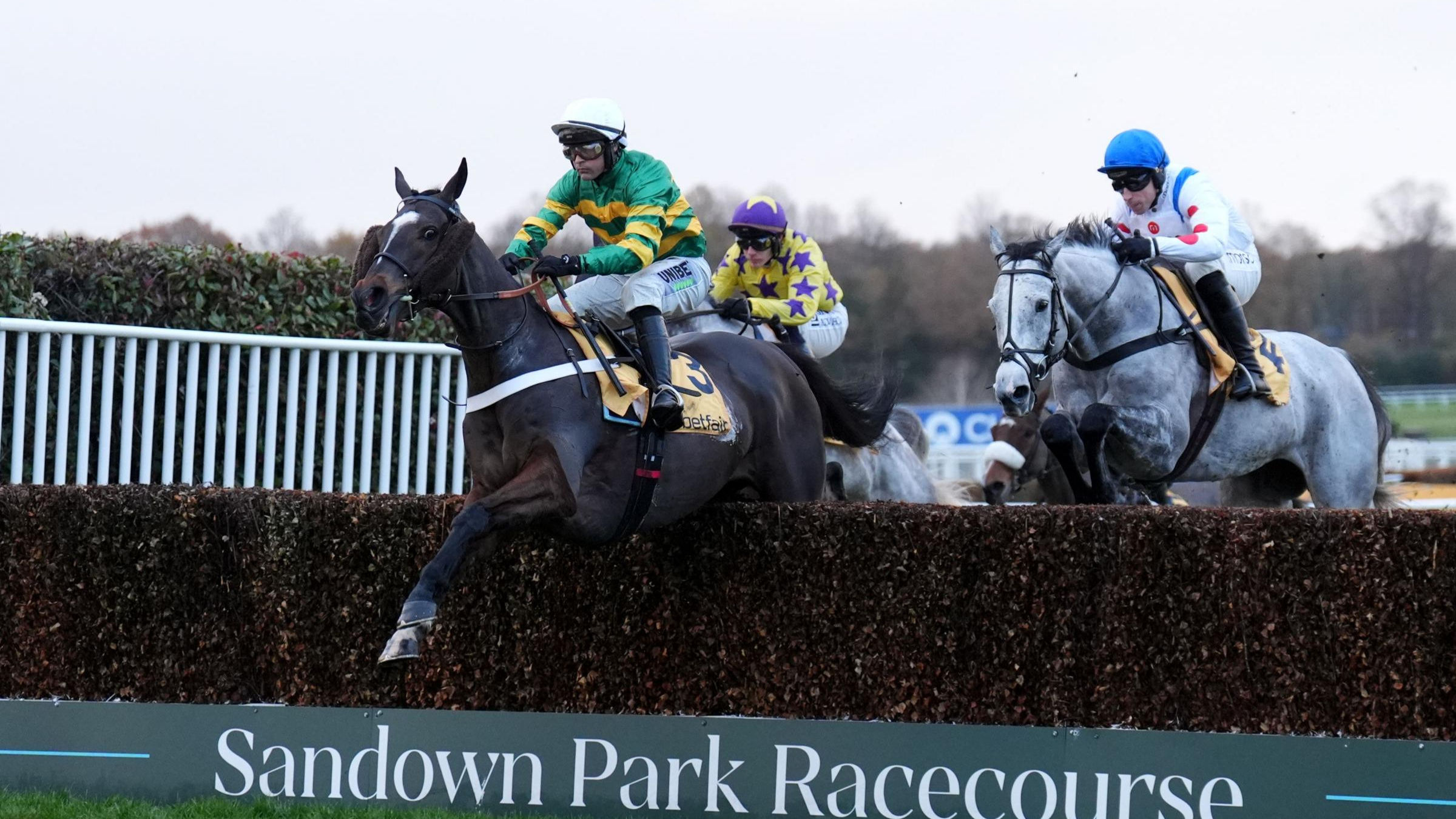 Tingle Creek Christmas Festival hospitality experiences