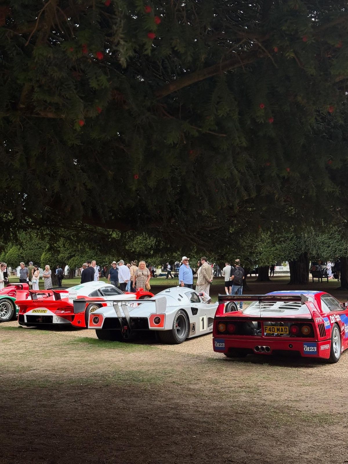 Salon Privé Week at Blenheim Palace category