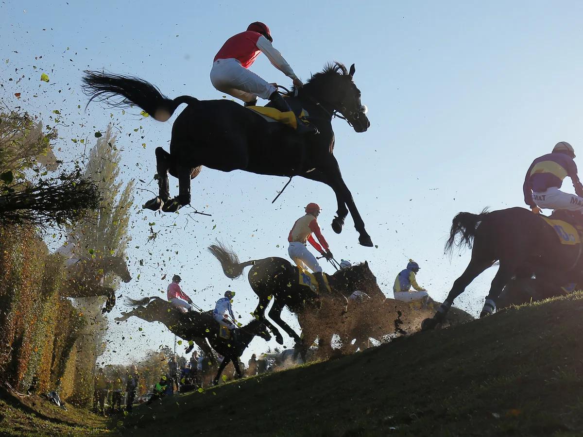 Pardubice Racecourse