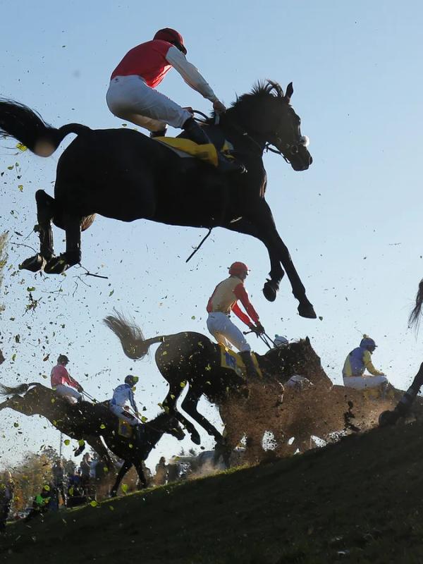 Pardubice Racecourse