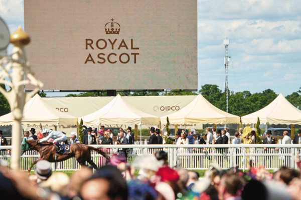 Ascot King George Racing Weekend 2026 - Ascot Racecourse hospitality
