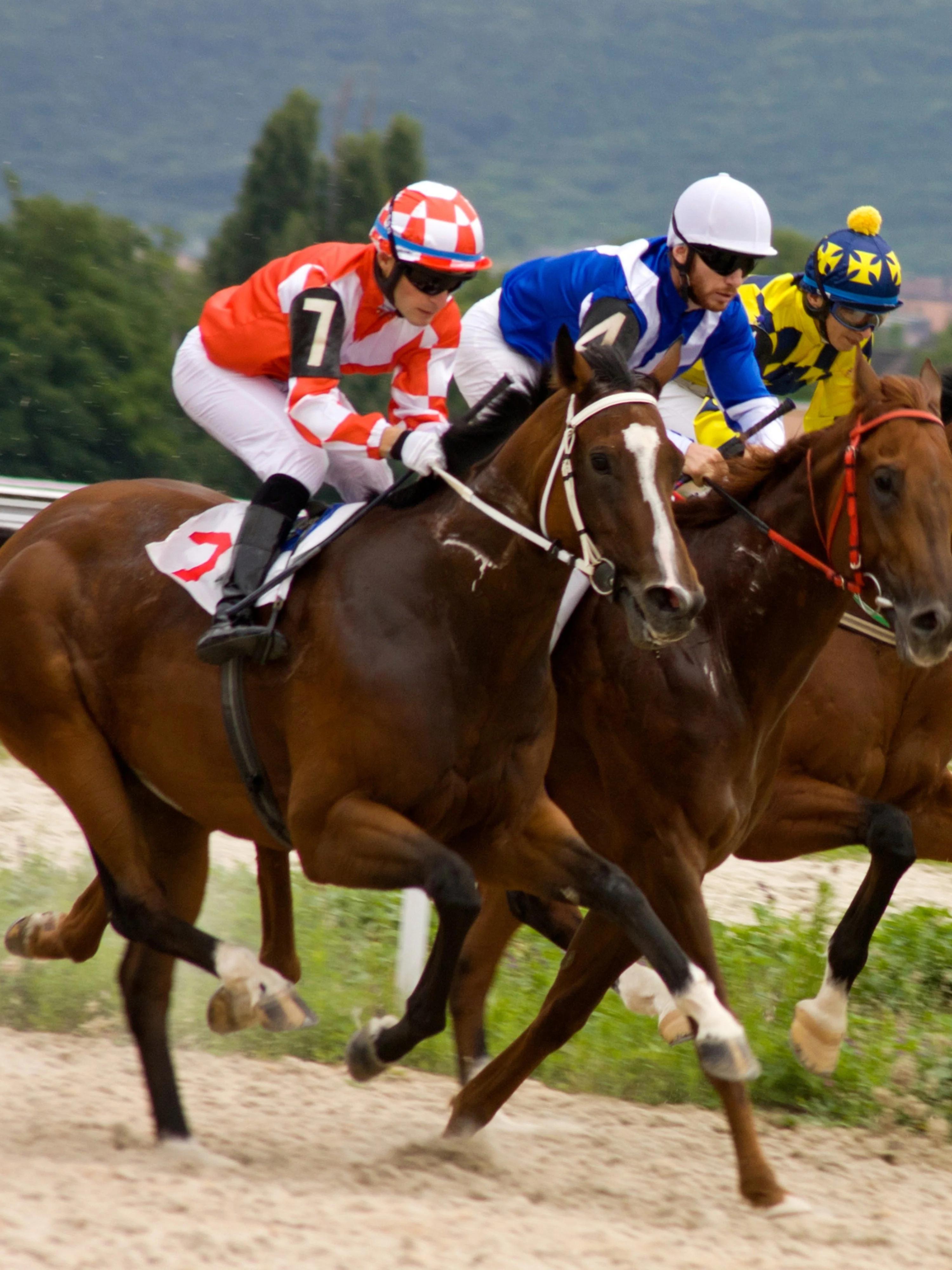 British Champions Day category