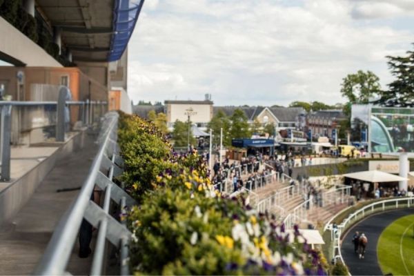 Ascot Racecourse premium hospitality balcony overlooks two horses on the track and busy stands.