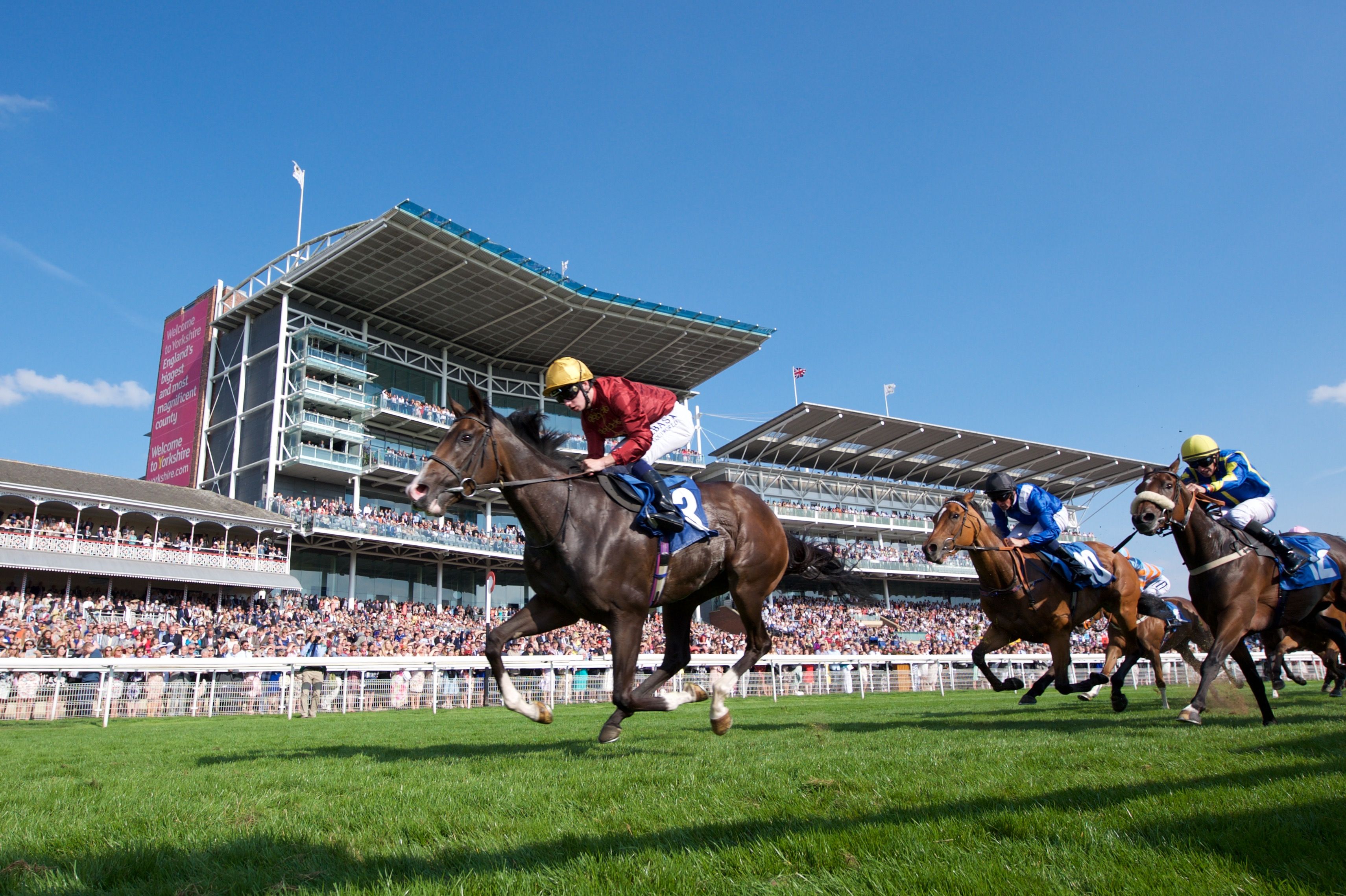 York Racecourse