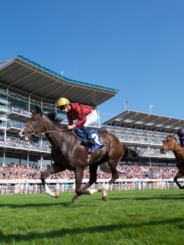 York Racecourse