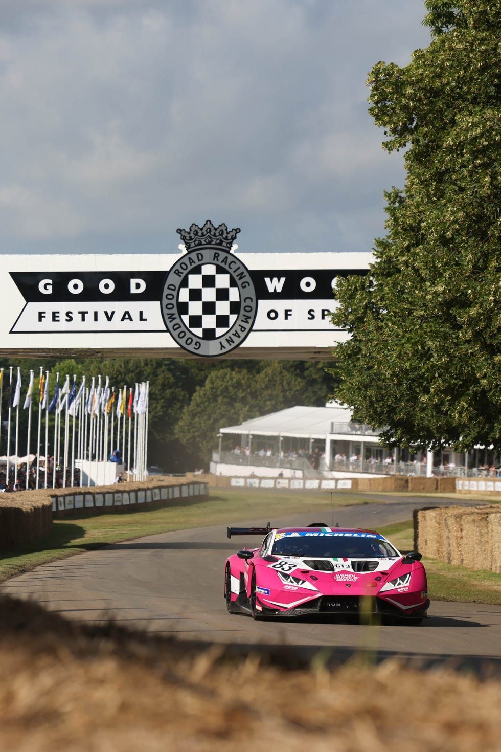 Goodwood Members' Meeting category