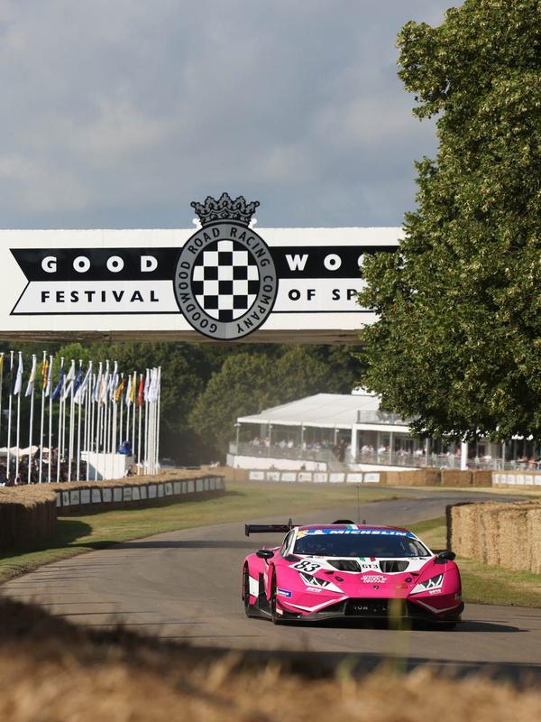Goodwood Members' Meeting