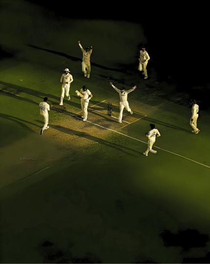 Cricket category