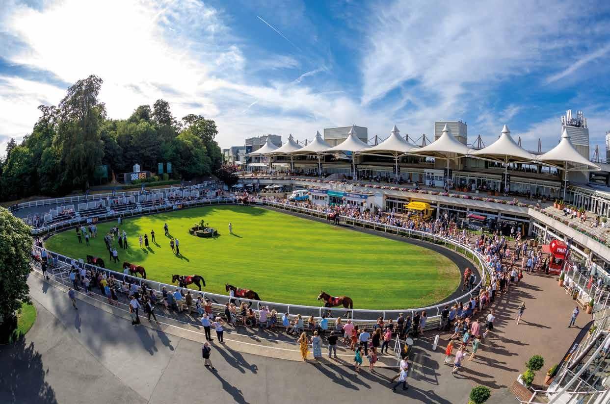 Newmarket July Festival hospitality experiences