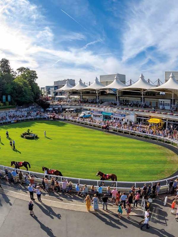 Sandown Park Racecourse