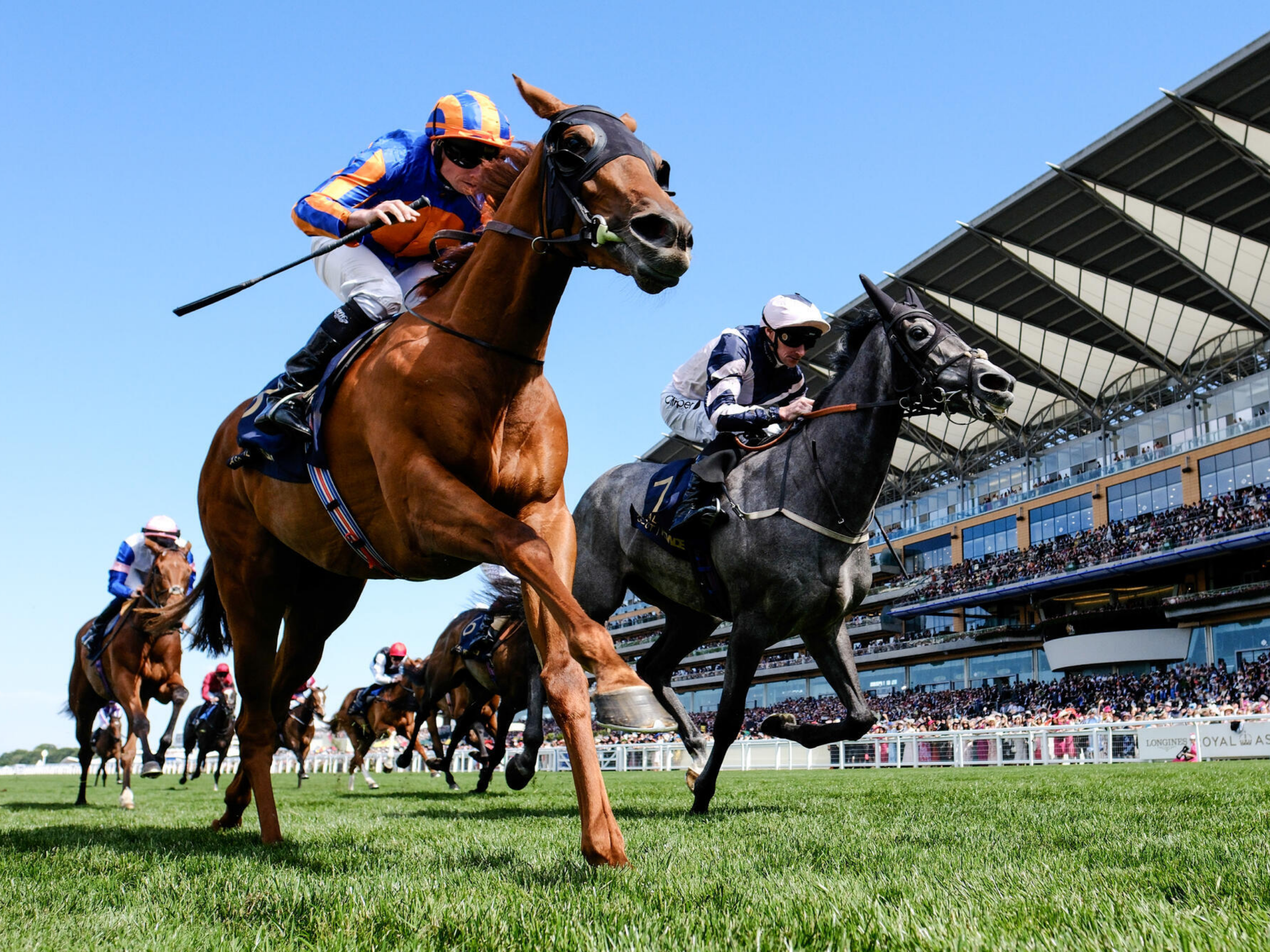 Jockeys on racehorses thunder past filled grandstands at Royal Ascot horse racing, branding visible.