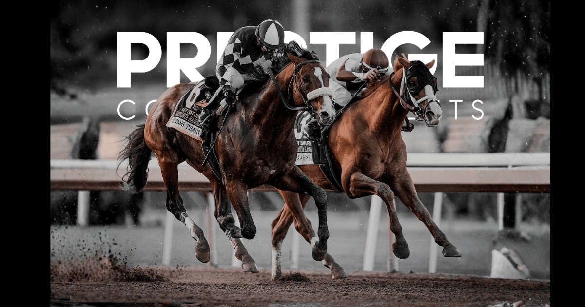 Ascot King George Racing Weekend 2026 - Ascot Racecourse hospitality