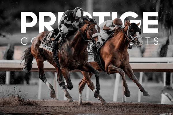Ascot King George Racing Weekend 2026 - Ascot Racecourse hospitality