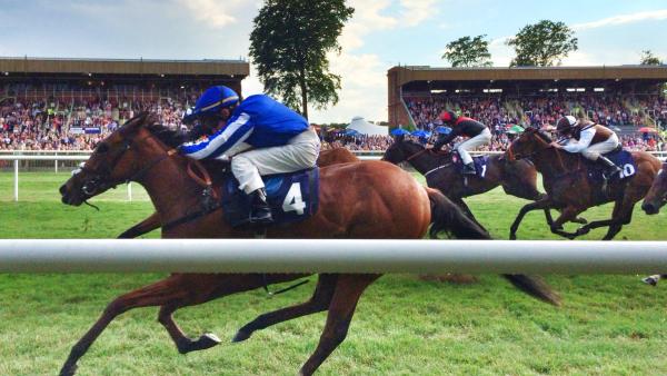 Racehorses and jockeys galloping past packed grandstands on a summer evening at Newmarket's July Course