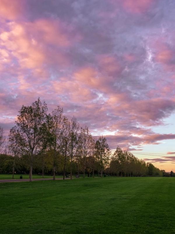 London's Finsbury Park
