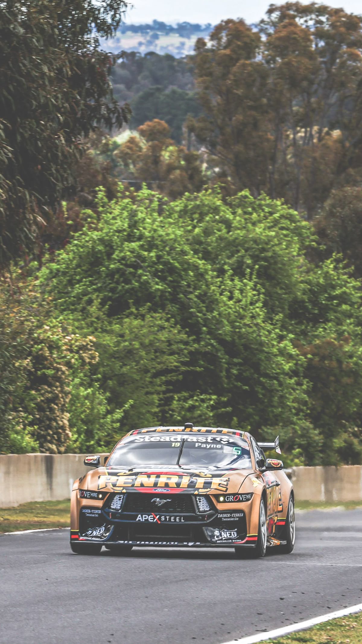 Bathurst 1000 category