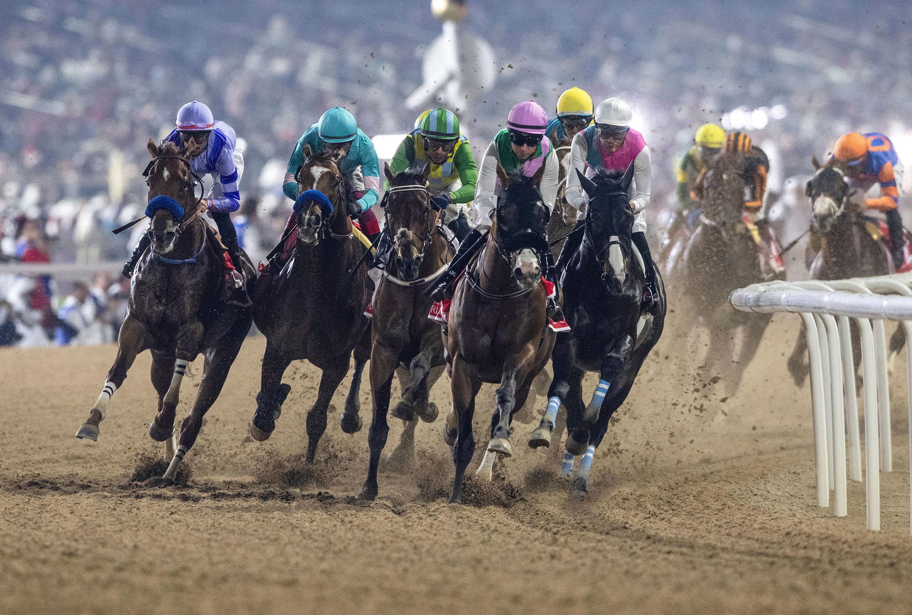 Dubai World Cup hospitality experiences