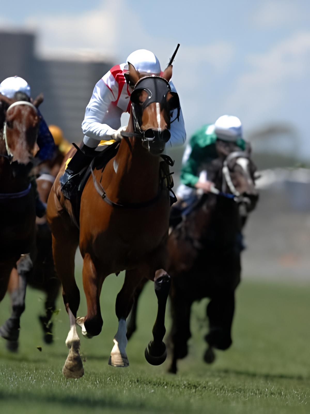 Dublin Racing Festival category