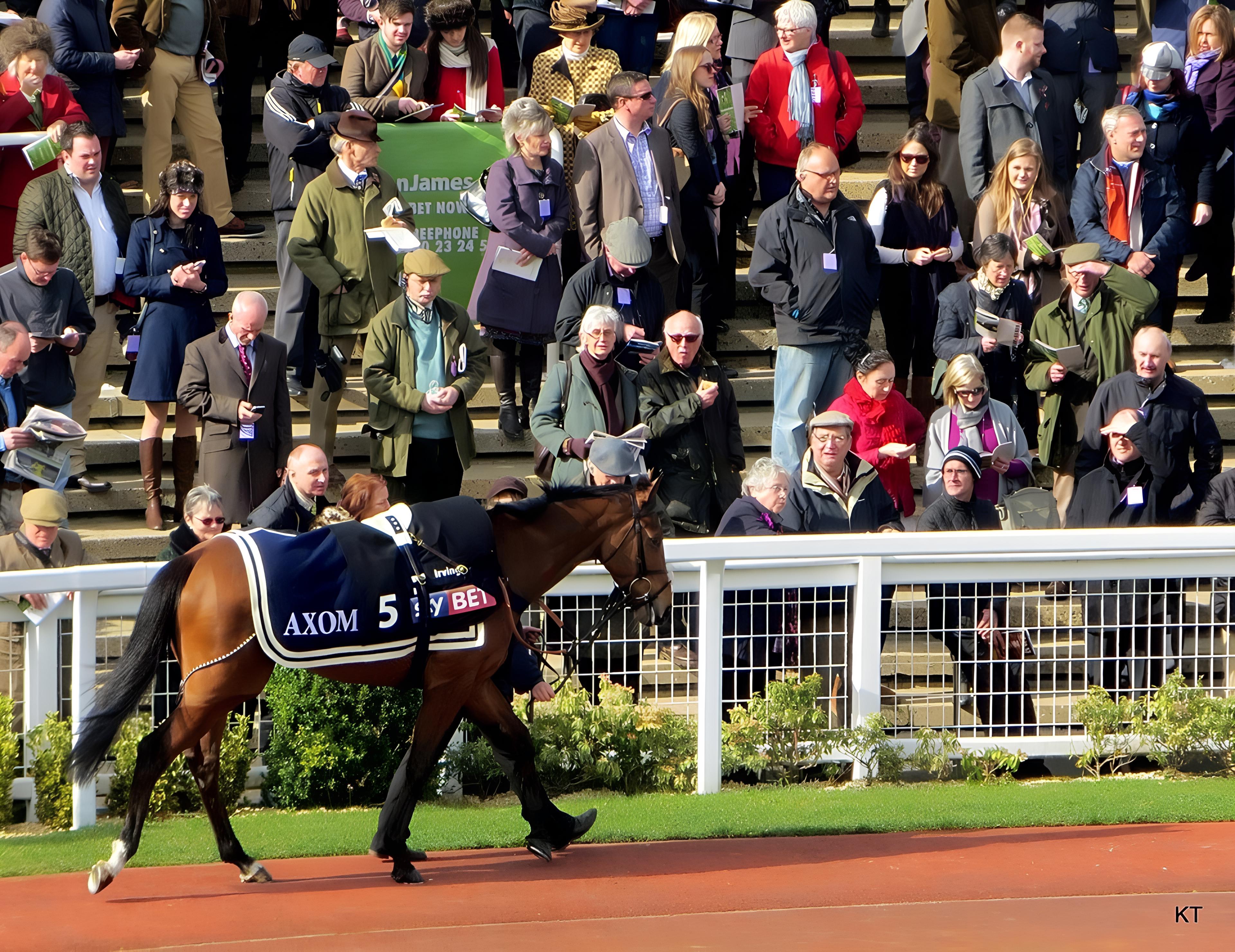 Cheltenham Racecourse Private Boxes & Dining