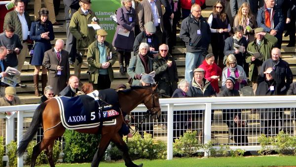 Cheltenham Racecourse Private Boxes & Dining