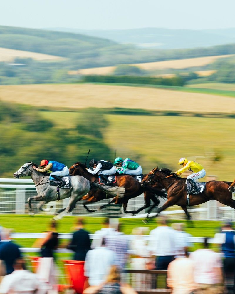Goodwood Qatar Festival category