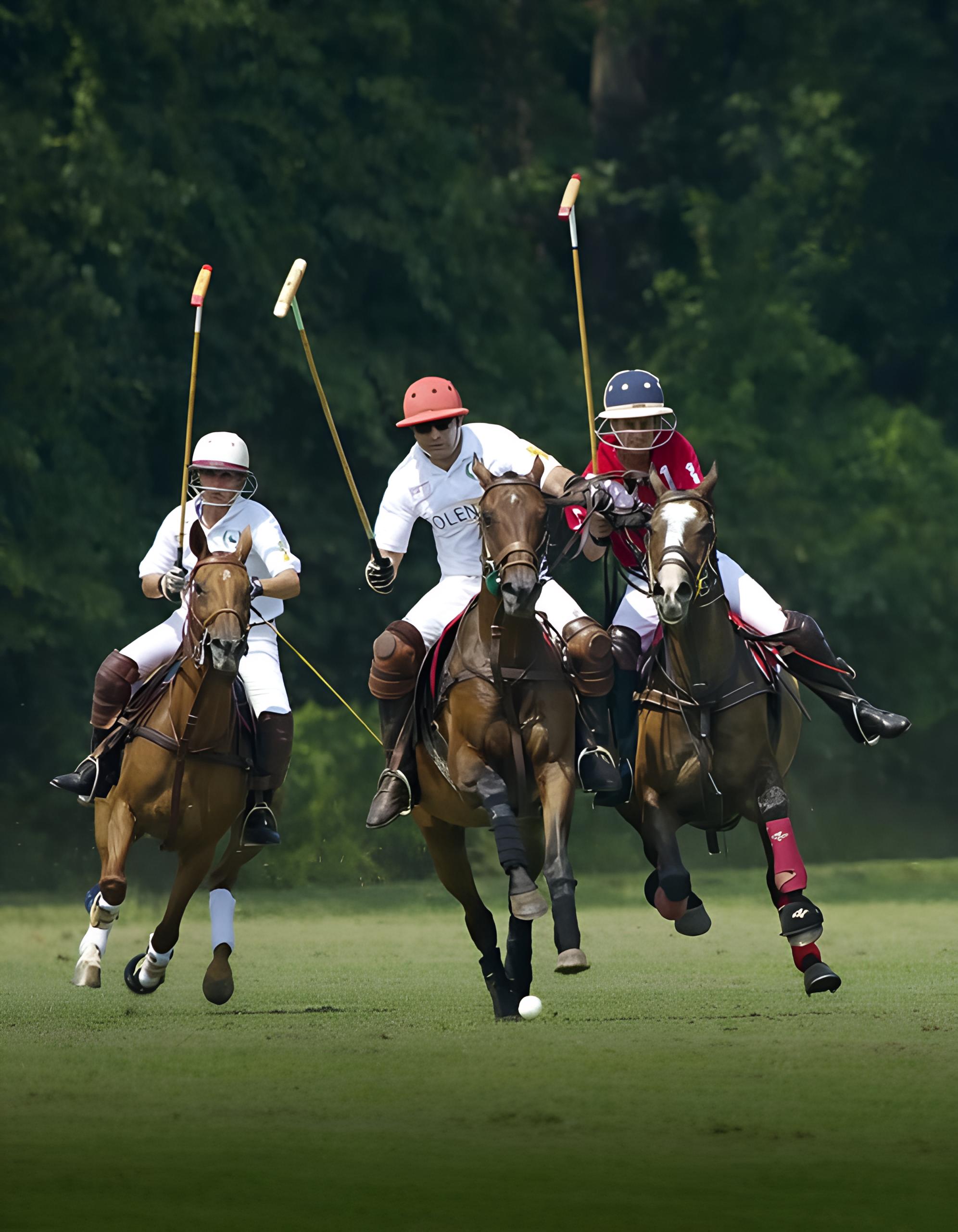 Major Polo Tournaments category