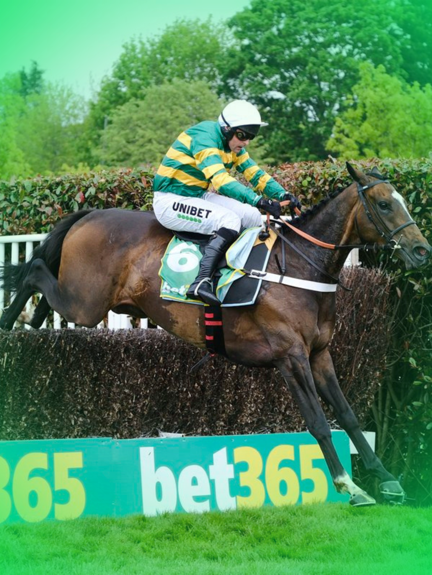 bet365 Jump Finale category