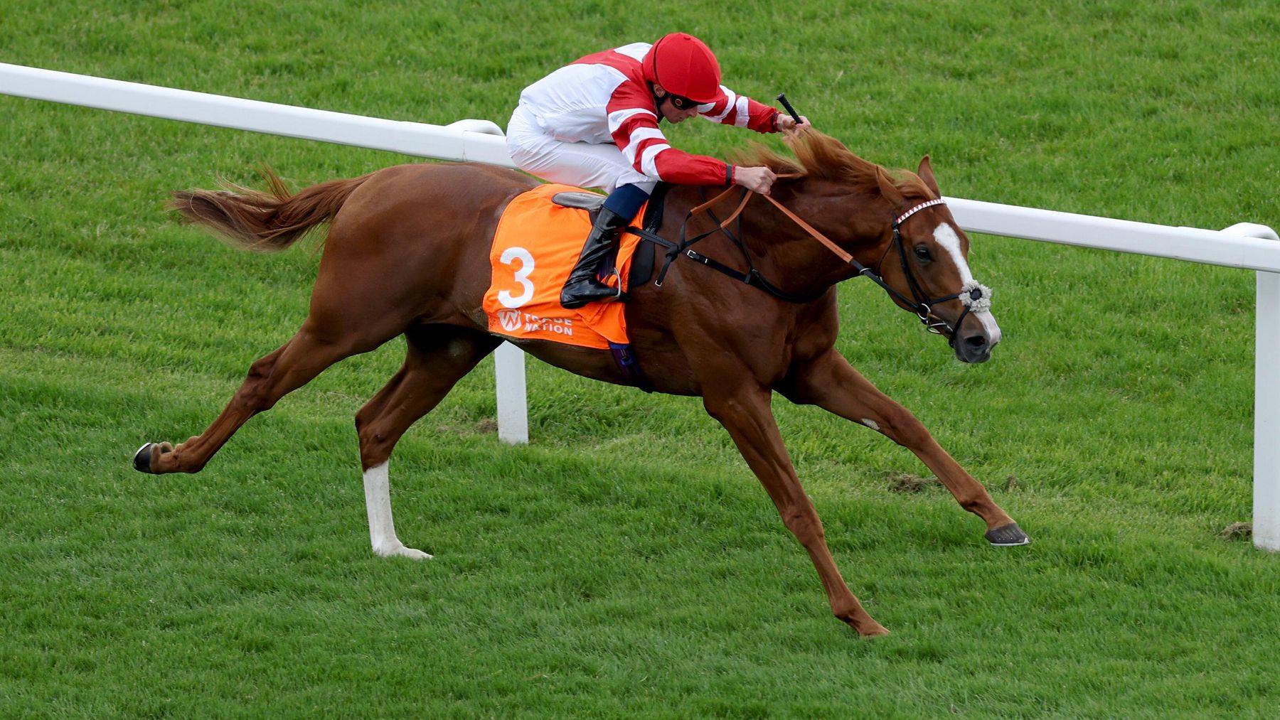 Lockinge Stakes Day hospitality experiences
