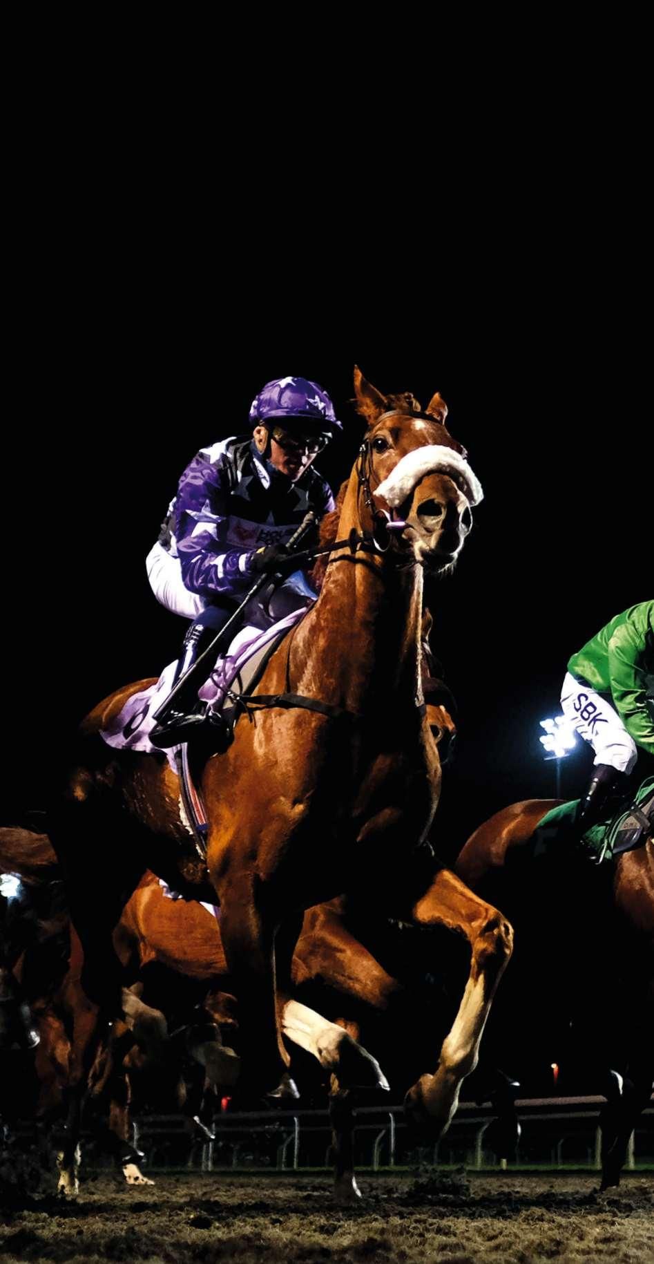 Kempton Park Winter Festival category