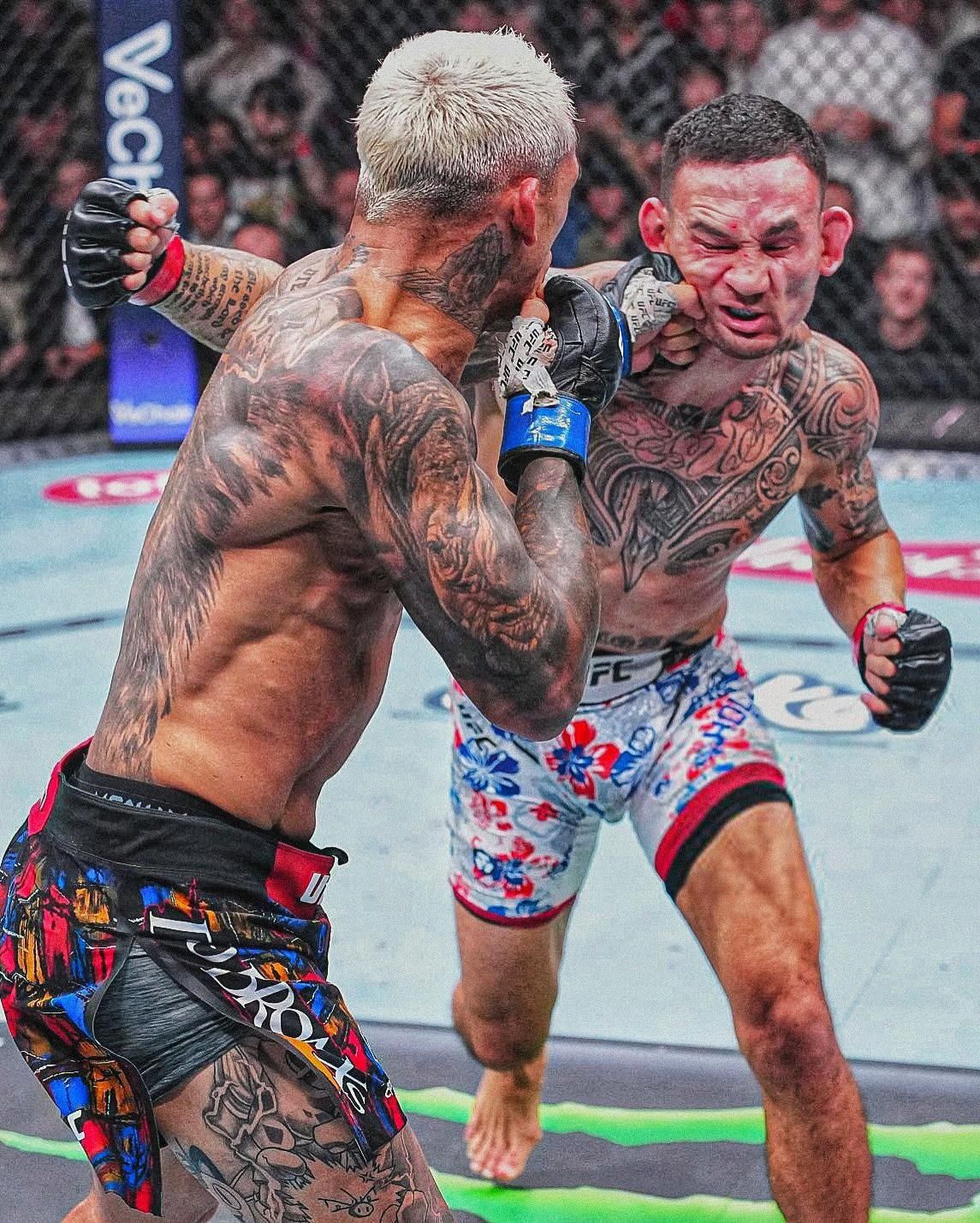 UFC Fight Night category