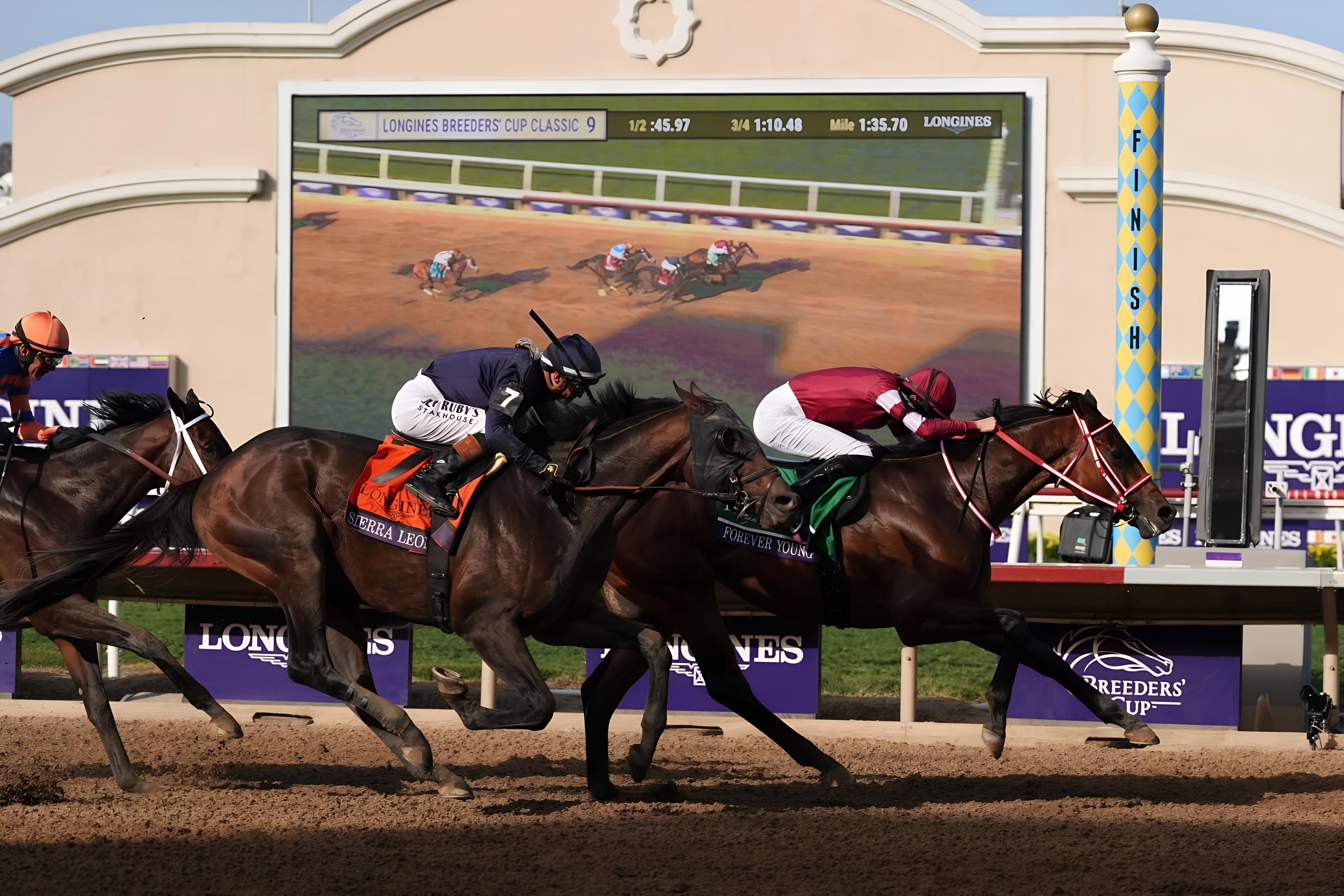 Breeders' Cup hospitality experiences