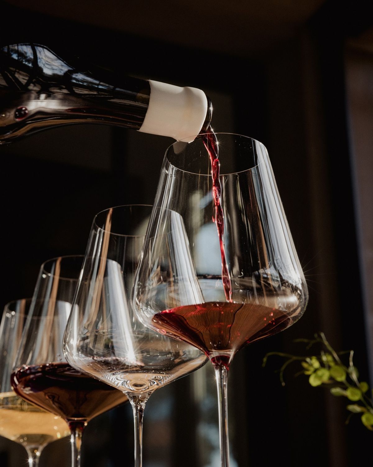 Wine & Spirit Tasting Tours category
