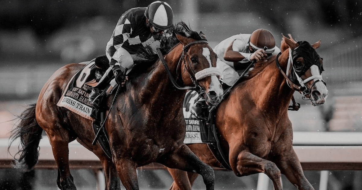 Horse racing category