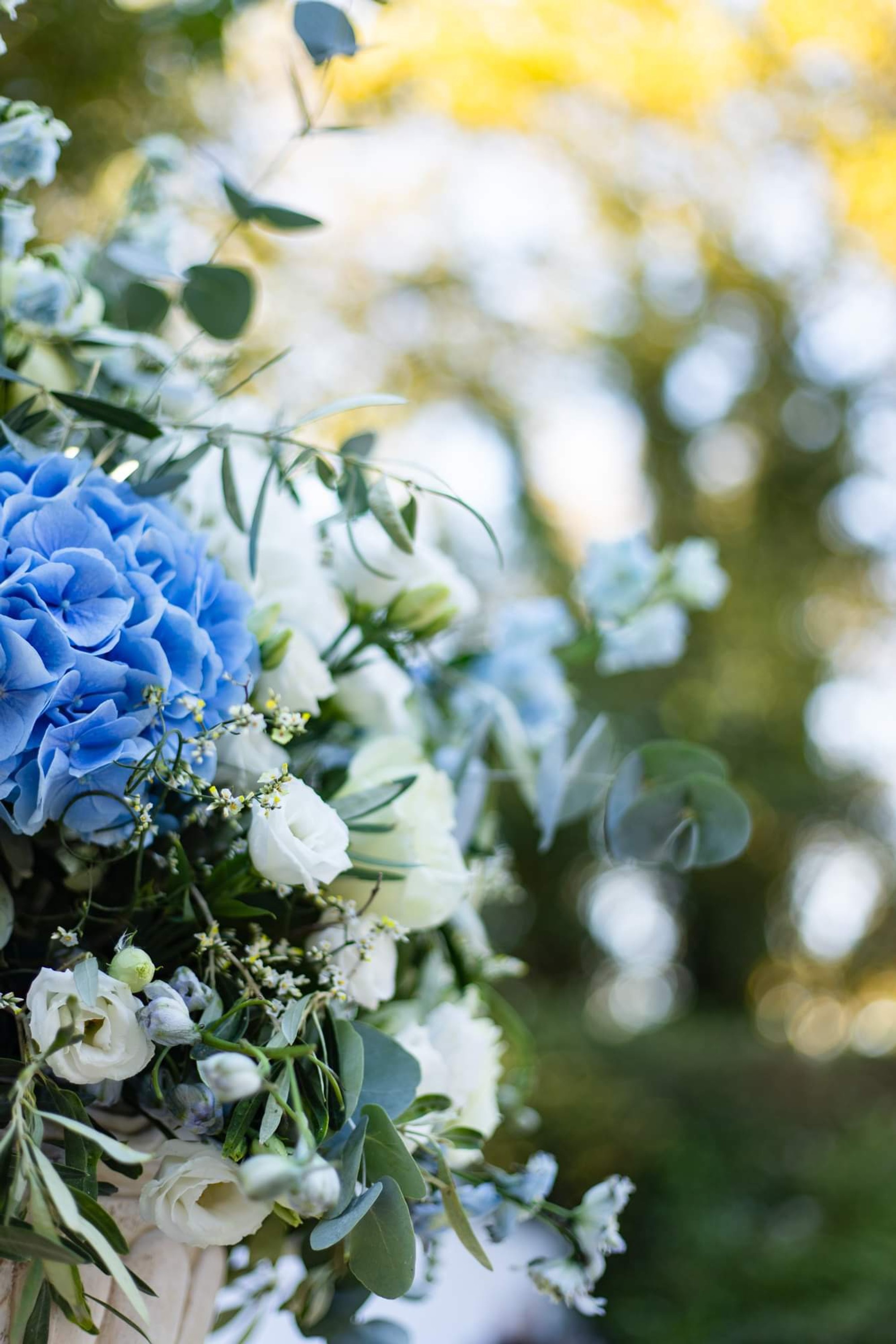 Alexandros & Tess - Gallery Image 3