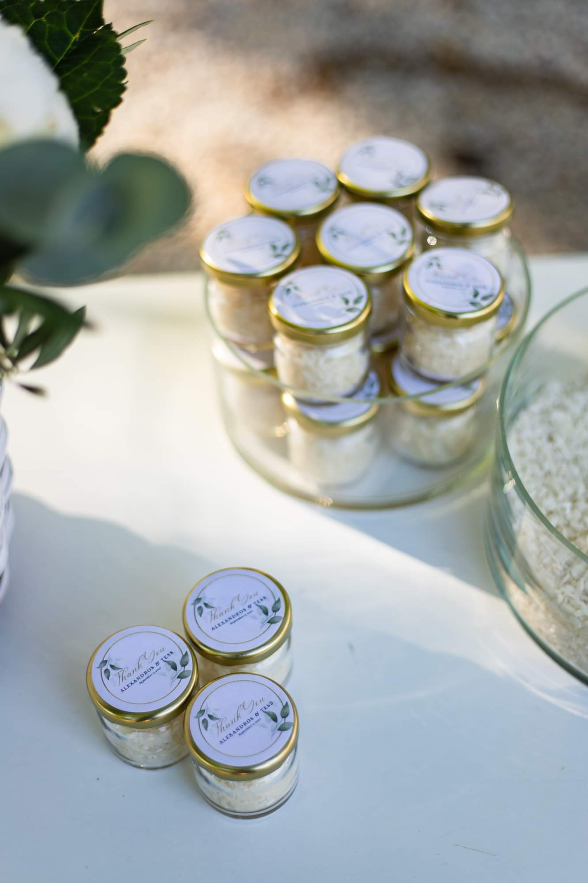 Alexandros & Tess - Gallery Image 2