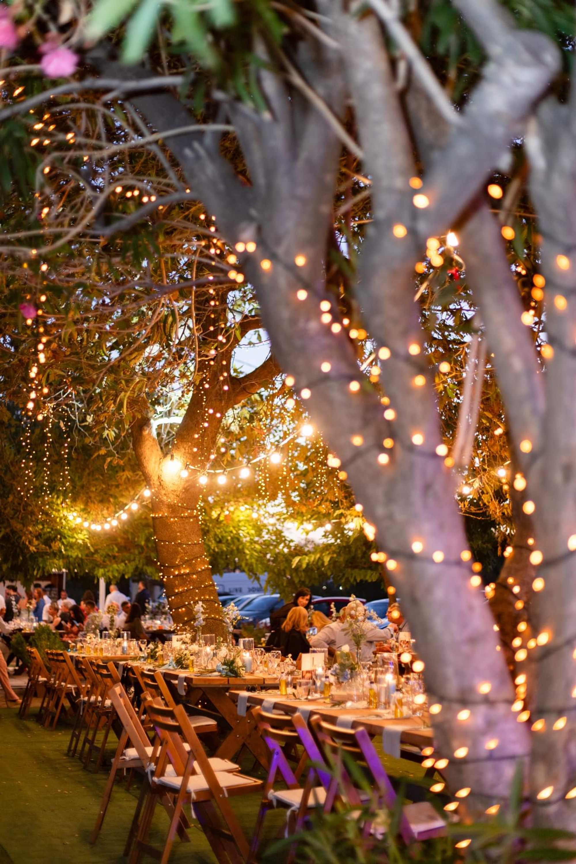 Alexandros & Tess - Gallery Image 38